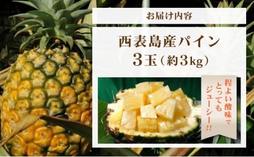 æ¥æ¬æå端ã®ãã€ã³ïŒçã»ãããçŽïŒïœïœã西衚島ç£