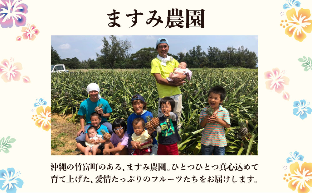 2026年 先行予約 マンゴー 夏小紅 約2kg 3～6玉 ますみ農園 甘味 スッキリ 果物 フルーツ