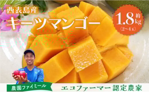 2026年 先行予約 マンゴー 約1.8kg 2～4玉 希少品種濃密 キーツマンゴー 高糖度保証！農園ファイミール 果物 フルーツ