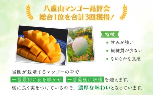 2026年 先行予約 マンゴー 約1.8kg 2～4玉 希少品種濃密 キーツマンゴー 高糖度保証！農園ファイミール 果物 フルーツ