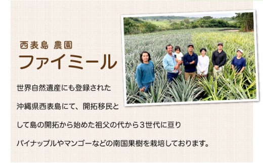 2026年 先行予約 マンゴー 約1.8kg 2～4玉 希少品種濃密 キーツマンゴー 高糖度保証！農園ファイミール 果物 フルーツ