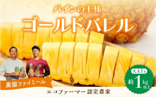 2026年 先行予約 最高級 パイン 完熟 ゴールドバレル  1.0kg以上 大玉1玉 果物 フルーツ パイナップル