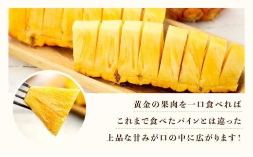 2026年 先行予約 最高級 パイン 完熟 ゴールドバレル  1.0kg以上 大玉1玉 果物 フルーツ パイナップル