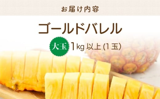 2026年 先行予約 最高級 パイン 完熟 ゴールドバレル  1.0kg以上 大玉1玉 果物 フルーツ パイナップル