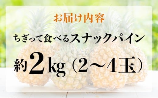 知名度NO.1！糖度が高く真っ黄色な新感覚パイン☆　ちぎって食べるスナックパイン2kg（2～4玉）