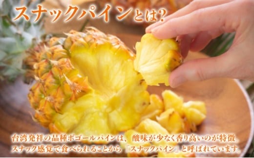 知名度NO.1！糖度が高く真っ黄色な新感覚パイン☆　ちぎって食べるスナックパイン2kg（2～4玉）