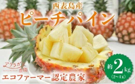 アララガマ農園発祥のピーチパイン。香り高く女性人気NO.1！国内流通量1％未満、幻の完熟ピーチパイン　ピーチパイン2kg（2～4玉）