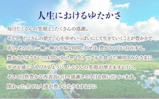 2026年 先行予約 ミニ ピーチパイン 約4.5kg 9玉～12玉ちゅら西表島産!! 完熟 パイン 果物 フルーツ パイナップル