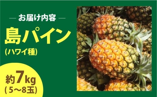 2026年 先行予約 島パイン (ハワイ種) 約7kg (5～8玉) ますみ農園 ”蜜たっぷり” パイン パイナップル 果物 フルーツ