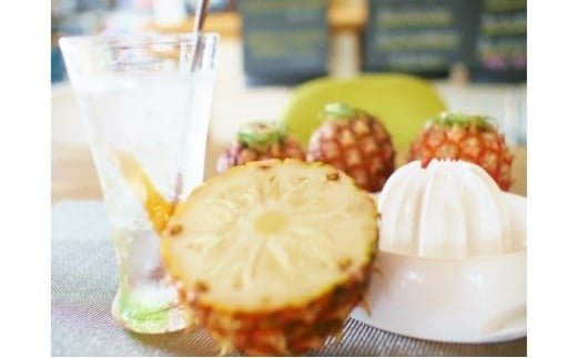 2026年 先行予約 島パイン (ハワイ種) 約7kg (5～8玉) ますみ農園 ”蜜たっぷり” パイン パイナップル 果物 フルーツ