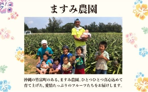 2026年 先行予約 アップルマンゴー 約1kg (2～4玉) 完熟 マンゴー ますみ農園 果物 フルーツ