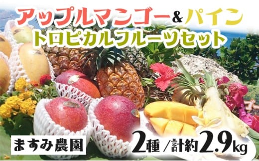 2026年 先行予約 パイン マンゴー セット トロピカルフルーツセット ますみ農園 果物