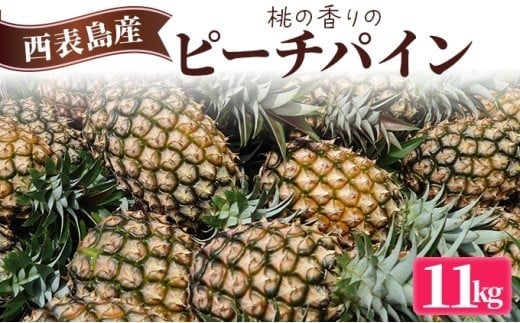 2026年 先行予約 ピーチパイン 約11kg (12～18玉) 桃の香り ますみ農園 パイン 果物 フルーツ