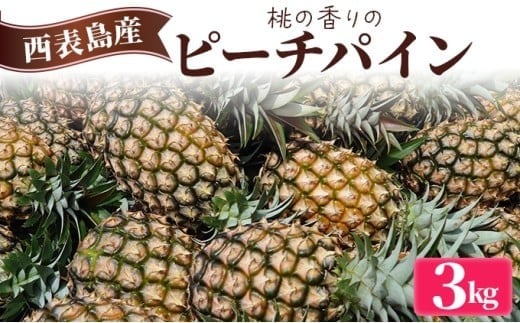 2026年  先行予約 ピーチパイン 約3kg (3～5玉) 桃の香り ますみ農園 パイン 果物 フルーツ パイン