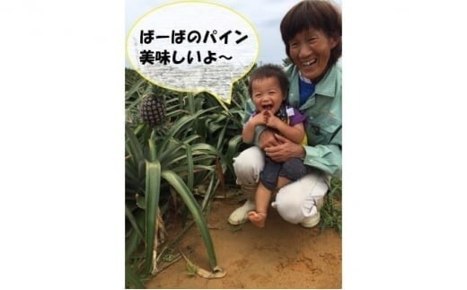 2026年  先行予約 ピーチパイン 約3kg (3～5玉) 桃の香り ますみ農園 パイン 果物 フルーツ パイン