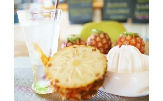 2026年  先行予約 ピーチパイン 約3kg (3～5玉) 桃の香り ますみ農園 パイン 果物 フルーツ パイン