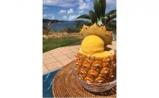 2026年  先行予約 ピーチパイン 約3kg (3～5玉) 桃の香り ますみ農園 パイン 果物 フルーツ パイン
