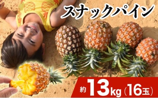 2026年 先行予約 スナックパイン 約13kg 16玉 西表島ひらい農園 パイナップル 果物 フルーツ パイン