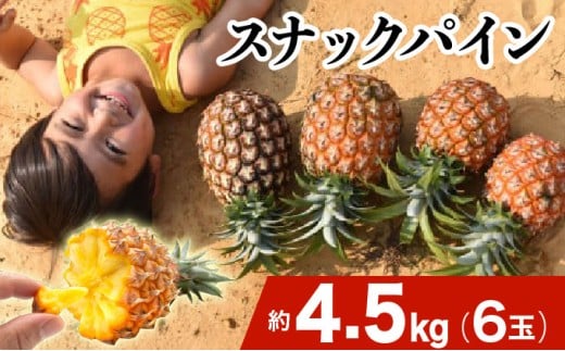 2026年 先行予約 スナックパイン 約4.5kg 6玉 西表島ひらい農園 パイナップル 果物 フルーツ パイン