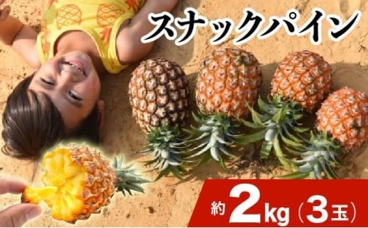 2026年 先行予約 スナックパイン 約2kg 3玉 西表島ひらい農園 パイナップル 果物 フルーツ パイン