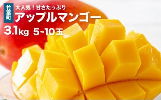 2026年 先行予約 アップルマンゴー 約3.1kg 5～10玉 西表島ひらい農園 マンゴー 果物 フルーツ