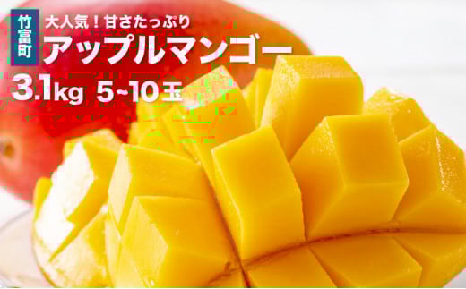 2026年 先行予約 アップルマンゴー 約3.1kg 5～10玉 西表島ひらい農園 マンゴー 果物 フルーツ