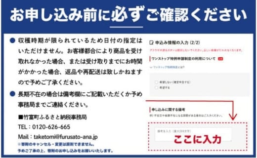 2026年 先行予約 アップルマンゴー 約3.1kg 5～10玉 西表島ひらい農園 マンゴー 果物 フルーツ
