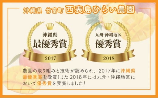 2026年 先行予約 アップルマンゴー 約2.3kg 4～8玉 西表島ひらい農園 マンゴー 果物 フルーツ