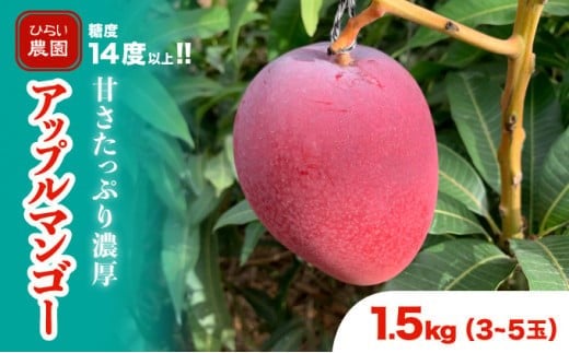 2026年 先行予約 アップルマンゴー 約1.5kg 3～5玉 西表島ひらい農園 マンゴー 果物 フルーツ