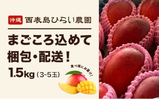 2026年 先行予約 アップルマンゴー 約1.5kg 3～5玉 西表島ひらい農園 マンゴー 果物 フルーツ