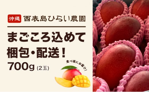 2026幎 å
è¡äºçŽ ã¢ããã«ãã³ãŽãŒ çŽ700g 2ç 西衚島ã²ãã蟲å ãã³ãŽãŒ æç© ãã«ãŒã