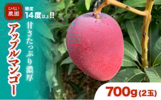 2026幎 å
è¡äºçŽ ã¢ããã«ãã³ãŽãŒ çŽ700g 2ç 西衚島ã²ãã蟲å ãã³ãŽãŒ æç© ãã«ãŒã