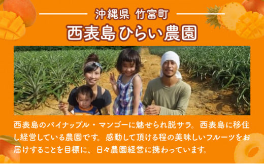 2026幎 å
è¡äºçŽ ã¢ããã«ãã³ãŽãŒ çŽ700g 2ç 西衚島ã²ãã蟲å ãã³ãŽãŒ æç© ãã«ãŒã