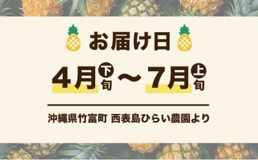 2026年 先行予約 定期便 週1 ピーチパイン 約18kg (約6kg(6～10玉)×3回配送) 
