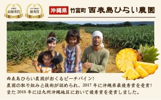 2026年 先行予約 ピーチパイン 約11kg 12～16玉 