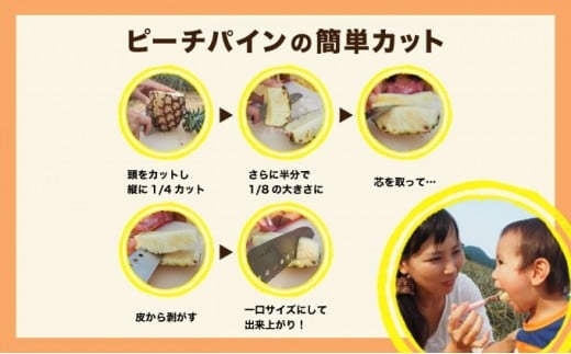 2026年 先行予約 ピーチパイン 約3kg 3～4玉 濃密 