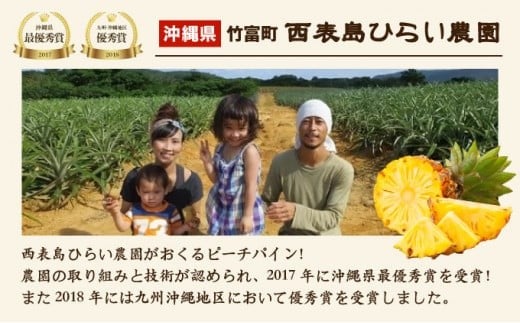 2026年 先行予約 ピーチパイン 約3kg 3～4玉 濃密 