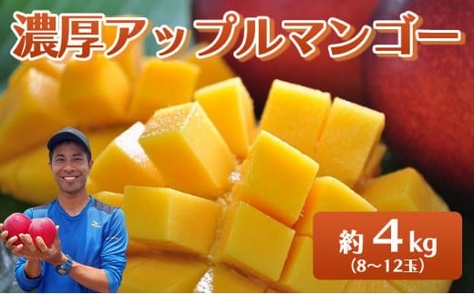 2026年 先行予約 アップルマンゴー 約4kg 8～12玉入り 八重山マンゴー品評会総合1位を計3回獲得！高糖度保証！農園ファイミール 濃厚 果物 フルーツ