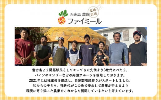 2026年 先行予約 アップルマンゴー 約4kg 8～12玉入り 八重山マンゴー品評会総合1位を計3回獲得！高糖度保証！農園ファイミール 濃厚 果物 フルーツ