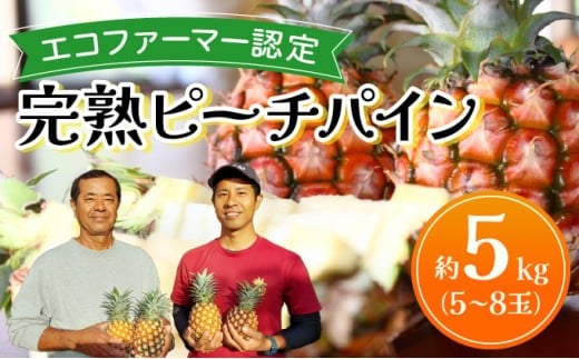 《2026年 先行予約》ピーチパイン 約5kg 5～8玉 農園ファイミール 完熟 果物 フルーツ