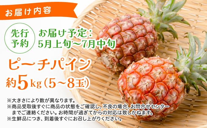《2026年 先行予約》ピーチパイン 約5kg 5～8玉 農園ファイミール 完熟 果物 フルーツ