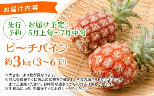 《2026年 先行予約》ピーチパイン 約3kg 3～6玉 農園ファイミール 完熟 果物 フルーツ