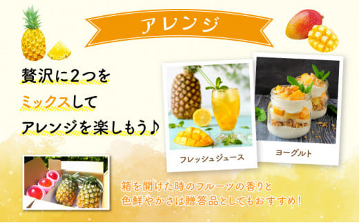 2026年 先行予約 セット パイン 約1.5kg マンゴー 約1kg 農園ファイミール 果物 フルーツ