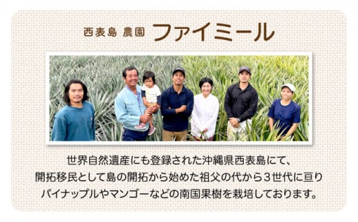 2026年 先行予約 セット パイン 約1.5kg マンゴー 約1kg 農園ファイミール 果物 フルーツ