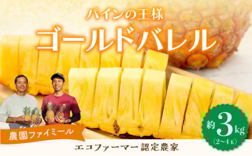 2026年 先行予約 完熟 ゴールドバレル 約3kg 2～4玉入り 最高級 パイン 果物 フルーツ