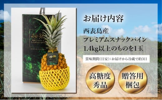 GOKUJUKU -極熟- プレミアム スナックパイン 1.4kg以上 1玉　2026年　先行予約 パイナップル 沖縄 高糖度秀品 贈答用 贈り物 パイン 果物 フルーツ デザート 希少 西表島
