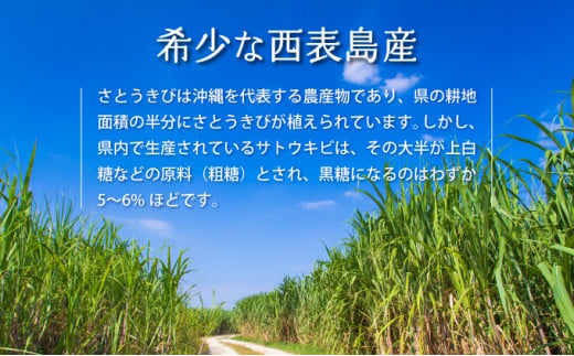 2026年 先行予約 セット 黒糖 完熟 パイン 水鴨農園 西表島産 パイナップル 果物 フルーツ