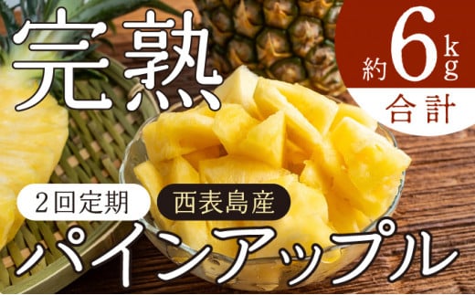 定期便 2ヶ月 2026年 先行予約 旬のパインアップル 約3kg 水鴨農園 2回 お楽しみ 果物 フルーツ