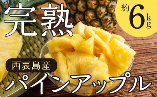 2026年 先行予約 完熟 パインアップル 約6kg 水鴨農園 パイン パイナップル 果物 フルーツ