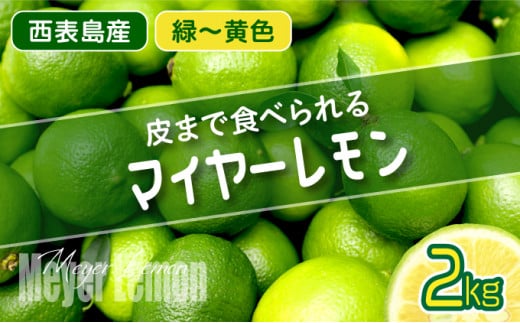 【2026年発送】まろやか多汁マイヤーレモン （島レモン）約2kg